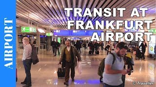 TRANSIT WALK AT FRANKFURT Airport FRA Terminal 1  Connection Flight Transfer Arriving amp Departing [upl. by Ynaffet624]